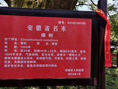 -新安江山水画廊风景区