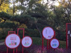 -迎泽公园