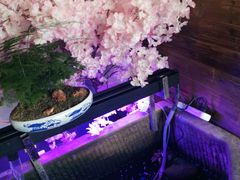 -愉肴麻辣香锅(中山路店)