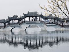 -上海海湾国家森林公园