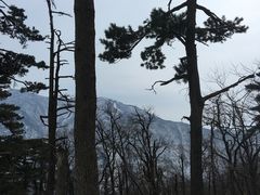 -湖州龙王山景区