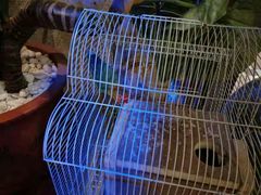 -同喜烤鸭店(光芒店)