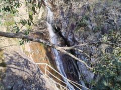 -东天目山风景区