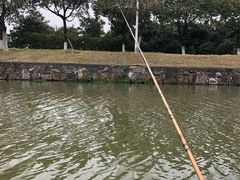 -江南大学(蠡湖校区)