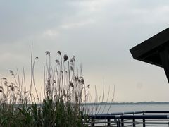 -阳澄湖半岛旅游度假区