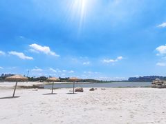 -九龙湖公园