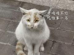 -无招牌