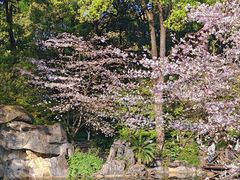 -南山植物园