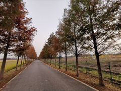-嘉北郊野公园