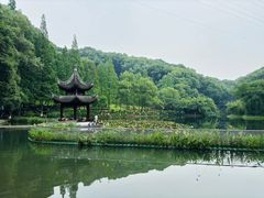 -忠山公园
