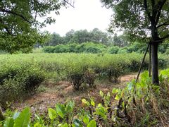 -美的鹭湖探索王国