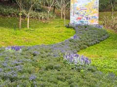 -云溪植物园