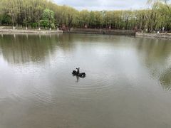 -哈尔滨北方森林动物园