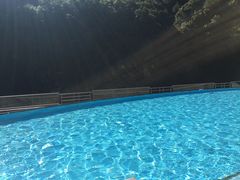 -太鲁阁公园