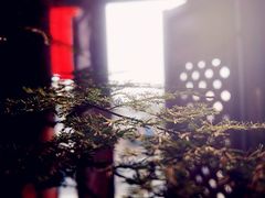 环境-慢丽江·云南野生菌土鸡锅(付家庄店)