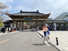 -金龙寺国家森林公园