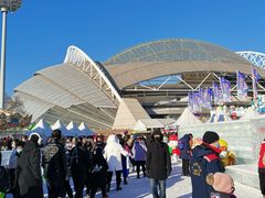 -沈阳奥体冰雪嘉年华