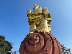 -大金鹰园