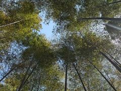 -句容茅山景区