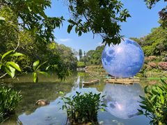 -深圳仙湖植物园