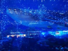 -成都浩海立方海洋公园