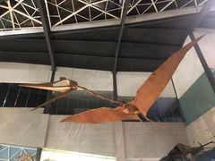 -湖南省地质博物馆