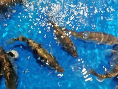 -盒马鲜生(顺义店)