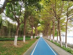 -广州国际生物岛