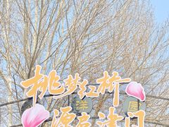 -桃花堤公园