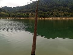 -凤岗南门山森林公园