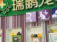 -瑞鹏·疫苗·绝育·宠物医院(金沙洲店)