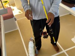 -小猫钓鱼海钓俱乐部(椰梦长廊店)