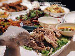 -杨氏青龙虾·羊蝎子(托乐嘉店)