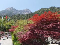 -黄山风景区