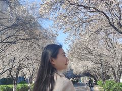 -山东师范大学(千佛山校区)