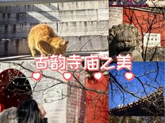 -红螺寺