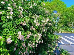 -浙江农林大学(东湖校区)