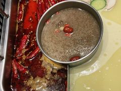 -巴奴毛肚火锅(九洲店)