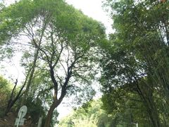 -广州市帽峰山景区
