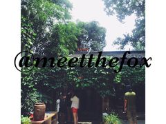 -旅马餐厅(茅家埠店)