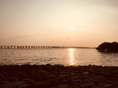 -宝安西湾红树林湿地公园