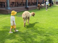 -太阳岛度假酒店