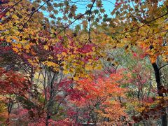 -本溪老边沟风景区
