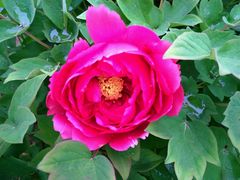 -奥斯卡新都汇影城(终级银幕)