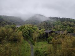-大唐贡茶院