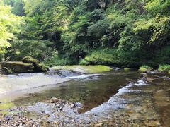 -黎坪国家森林公园