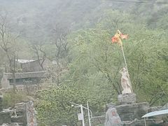 -大岭沟猕猴桃谷风景区