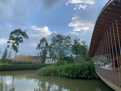 -江门古劳水乡旅游区