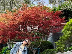 -苏州河梦清园环保主题公园