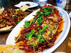 -向民炒鸡老店(金泰华府店)